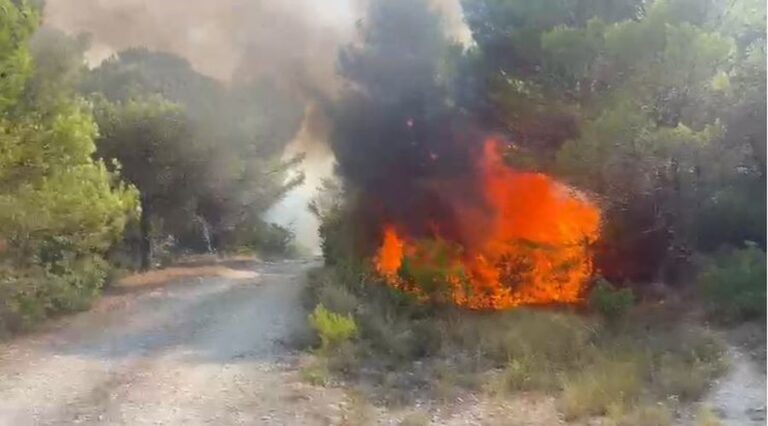 Zjarr në pyllin mes Patosit dhe Mallakastrës, ndërhyn helikopteri