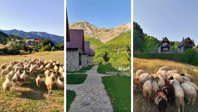 Një mëngjes nga magjia e Kelmendit, kartolina e Kryeministrit Rama për një të diel shqiptare