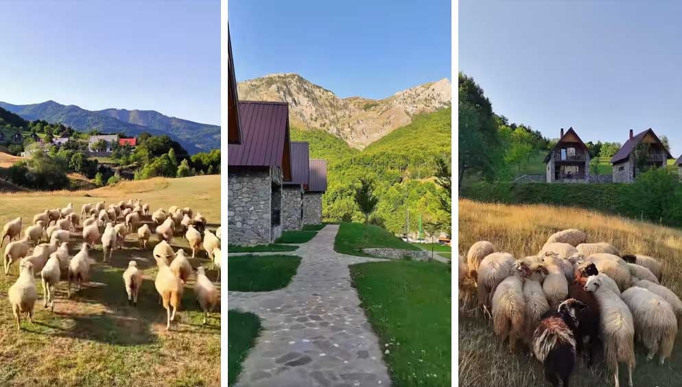 Momente baritore ne Kelmend, Malesi e Madhe, Albert Vataj