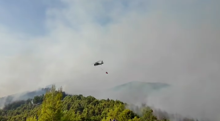 Zjarr në pyllin me pisha, Belinda Balluku poston pamjet: Zjarrvënia e qëllimshme dënohet nga Kodi Penal