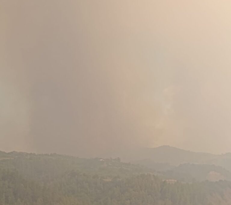 Digjen katër fshatra, pamje apokaliptike tymi e zjarri në Gramsh