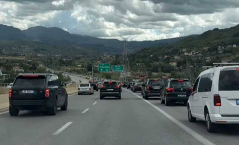 Dasmorë që bllokojnë autostradën!