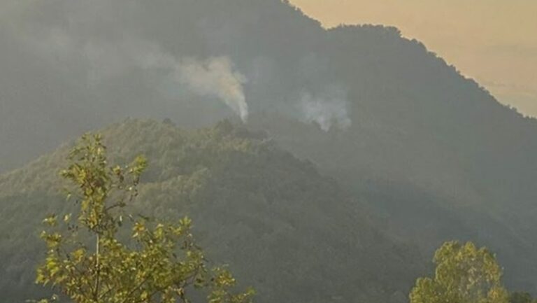 Zjarr në fshatin ”Katund i Vjetër”, forcat zjarrfikëse në terren