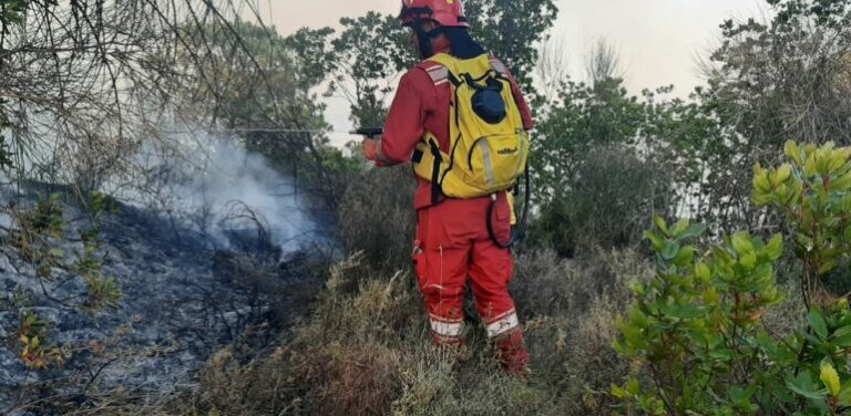 Ministria e Mbrojtjes për zjarret: 31 vatra në 24 orë, 5 ende aktive. 319 forca operacionale në terren