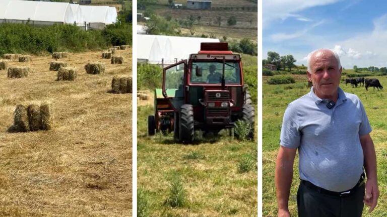Shembull frymëzues nga Zall-Herri: Mehmet Kadiu, fermeri që ktheu pasionin në zhvillim rural