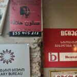 Mijëra kompani iraniane janë regjistruar në Gjeorgji. 800 kompani janë në një fshat me rreth 300 banorë!