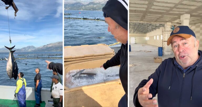 Gjergj Luca, nga Fish City në det, ku “Rozafa” blindon pozitat e kompanis lider, përmes punës dhe vizionit