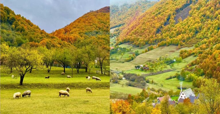 Rama: Uron nga Kelmendi i Malësisë së Madhe, ku vjeshta zbukuron me ngjyrat e saj magjike