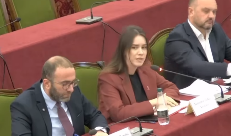 Bardhi ofendon deputeten e PS, reagon Balluku: Diferencën mes saj dhe sahanlëpirësve të Saliut e tregon qartë kjo video