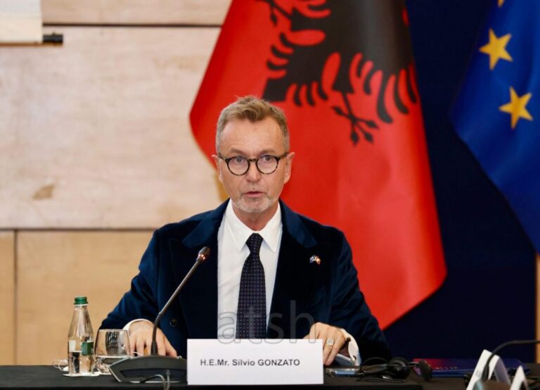 Integrimi i Shqipërisë në BE, Gonzato: Mbetet një objektiv kombëtar