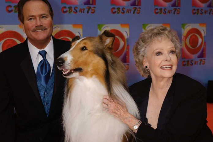 FILE - June Lockhart, right, who played the character of Ruth Martin, mother of Timmy Martin, played by Jon Provost, left, during the classic series "Lassie," poses for a photograph with Lassie, 9th generation, during arrivals at CBS's 75th anniversary celebration Sunday, Nov. 2, 2003, in New York. (AP Photo/Louis Lanzano, File)