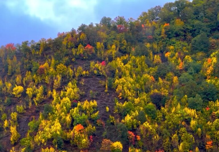 Pamje magjike nga mali i Dajtit (VIDEO)