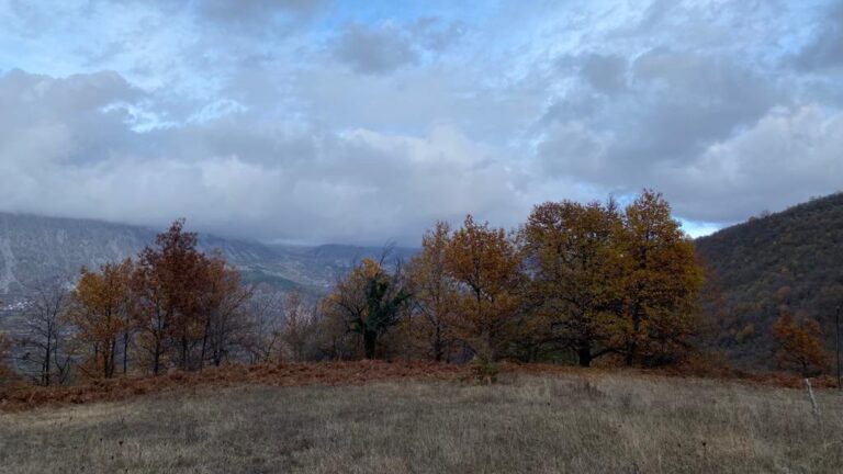 Vranësira dhe reshje shiu në disa zona, parashikimi i motit për ditën e sotme
