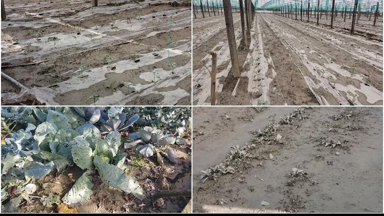 Prodhimet shkuan në lumë  banorët  Miliona lekë humbje