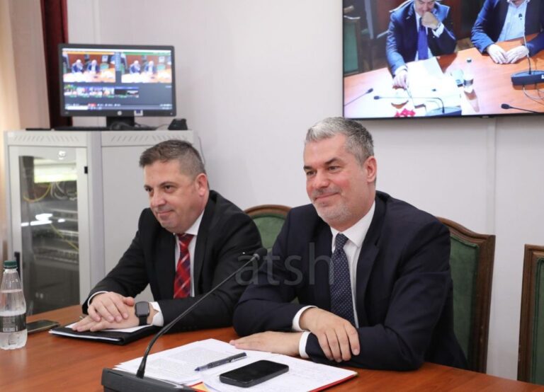 La bashkinë e Vlorës për ambasador në Zvicër, Dredha në Komisionin e Jashtëm: Nxitja e shkëmbimeve tregtare