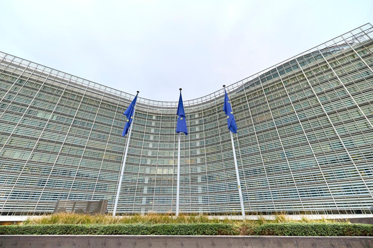 Vetmia e Evropës  shpresë dhe marrëzi