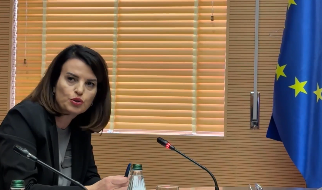 Ministrja Koçiu  Koordinim ndërinstitucional mes strukturave vendore për menaxhimin e situatës nga reshjet