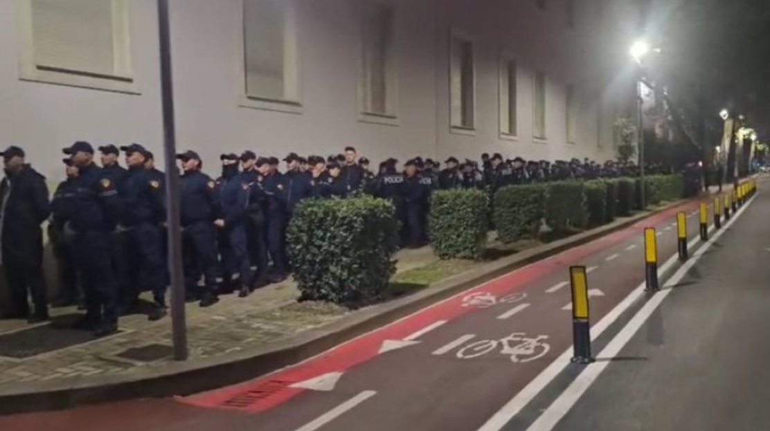 Me shumë policë se sa protestues 