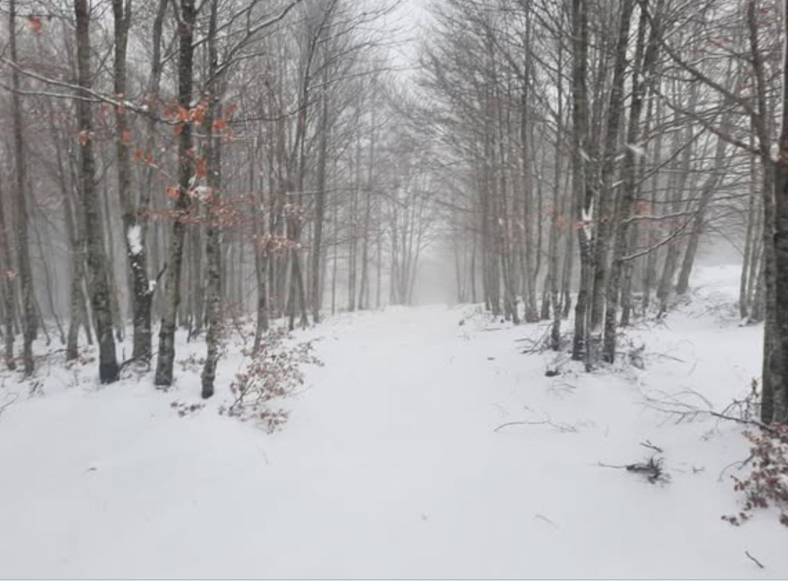 bora-e-pare-ne-majen-e-bukanikut-ne-gjinar