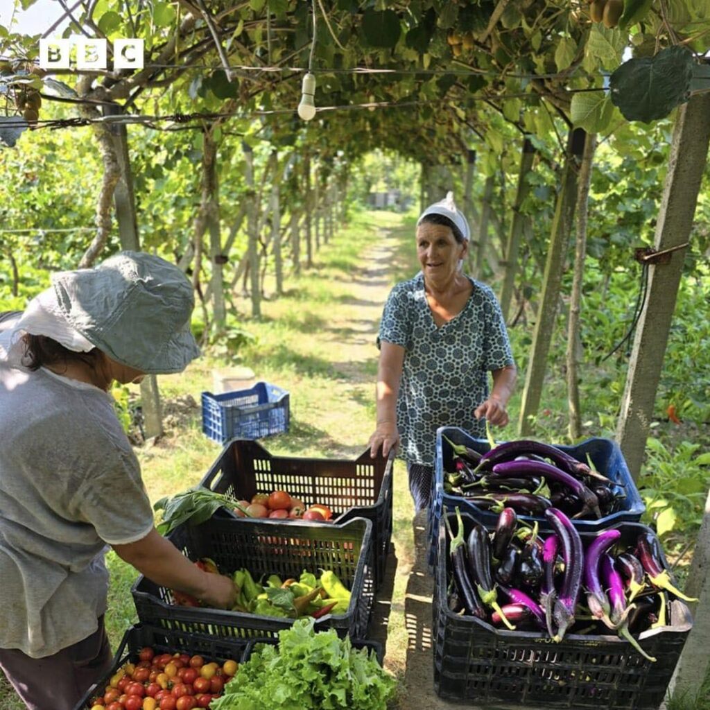 BBC vlerëson kulinarinë shqiptare, Rama: Kuzhina e gjysheve, pikë e fortë e agroturizmit