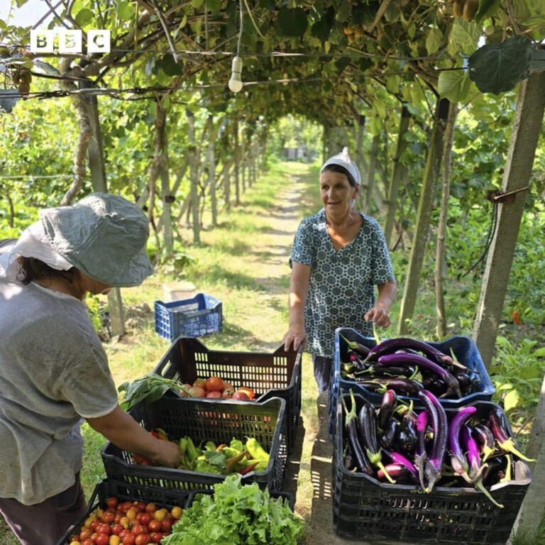 BBC vlerëson kulinarinë shqiptare, Rama: Kuzhina e gjysheve, pikë e fortë e agroturizmit
