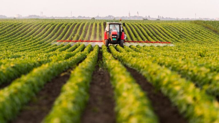 Kryeministri Rama: “EuroAgro Albania” një hap drejt tregut të përbashkët europian për bujqësinë