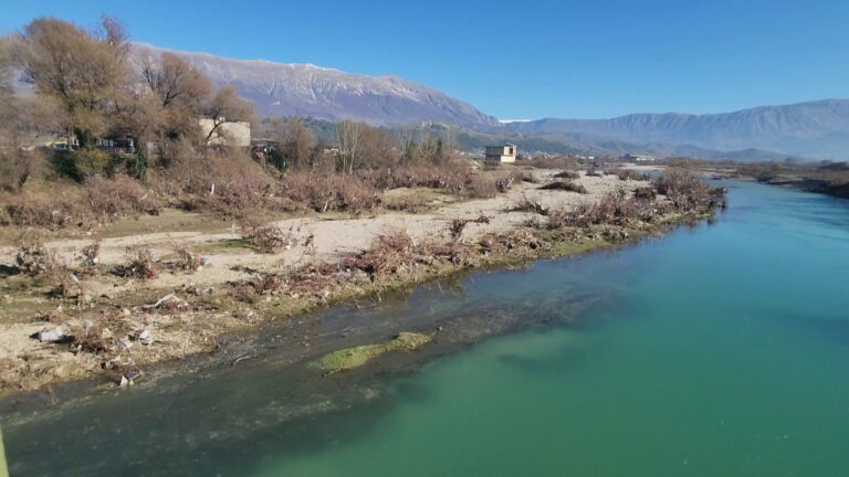 Ndotja e Drinos kërcënim për ekosistemin e Vjosës