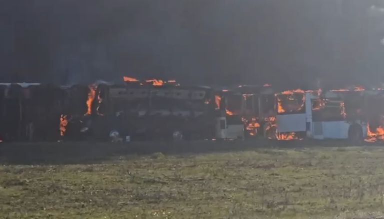 Përfshihen nga flakët disa autobusë në Durrës