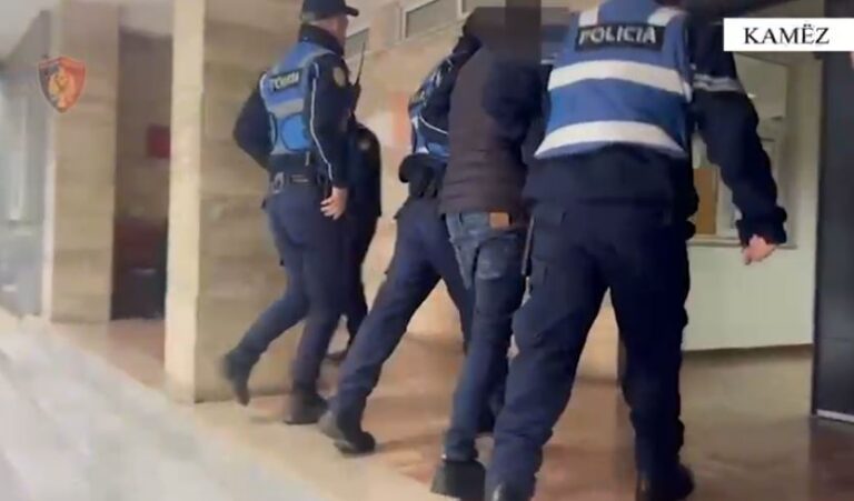 Kamëz: Gruaja grabitet, autori 36-vjeçar arrestohet menjëherë