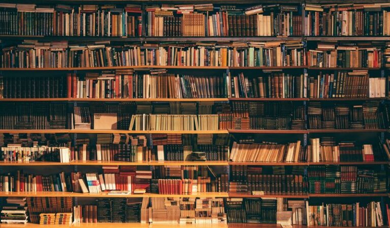 BBC prezanton 15 librat më të spikatur të vitit 2025