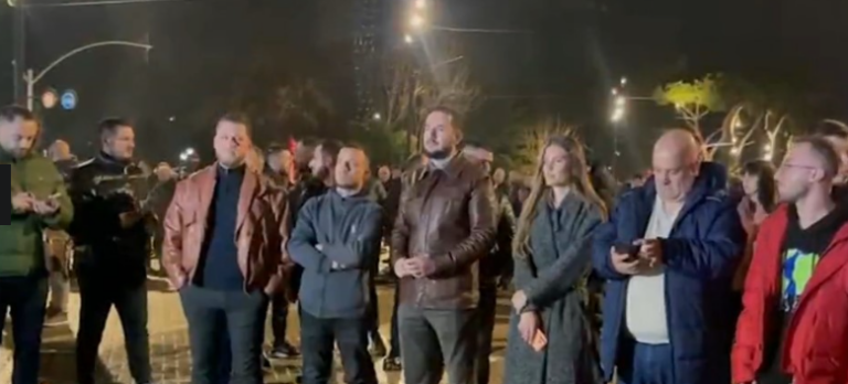 Ervin Salianji në protestë