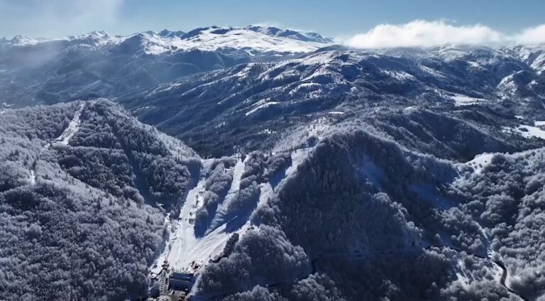 Pamjet nga Dardha magjike në Korçë (VIDEO)