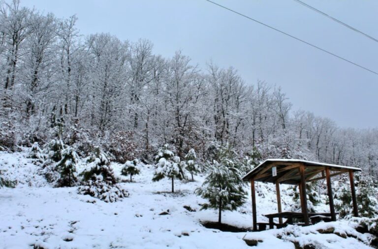 Funari në Elbasan nën petkun e bardhë të dimrit (Pamjet)