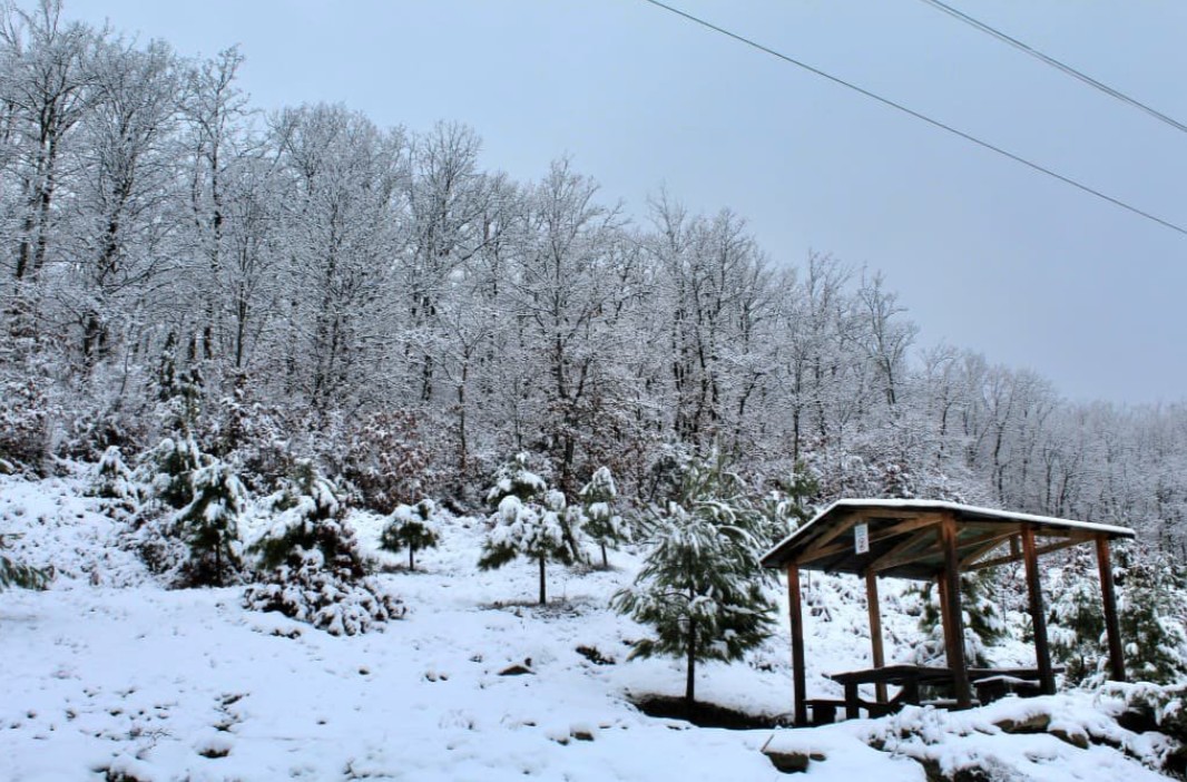 Funari në Elbasan nën petkun e bardhë të dimrit  Pamjet 