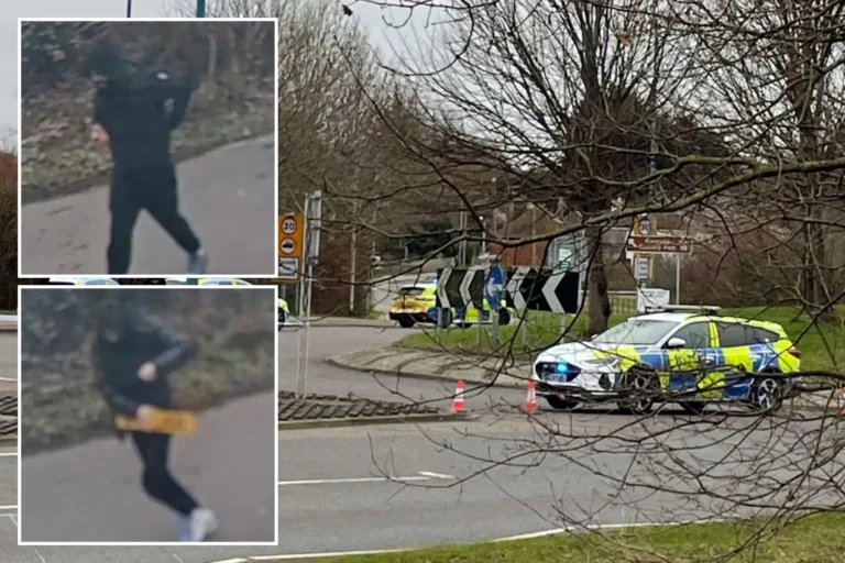 Përplasën për vdekje të moshuarin dhe u larguan, arrestohen dy shqiptarët në Britani