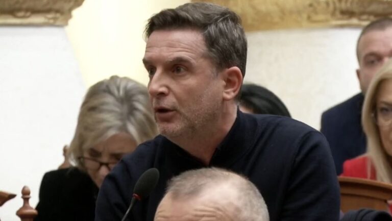 Interpelancë në Kuvend, Braçe me ministrin e Bujqësisë për qumështin. Kapri me Koçiun për monopatinat
