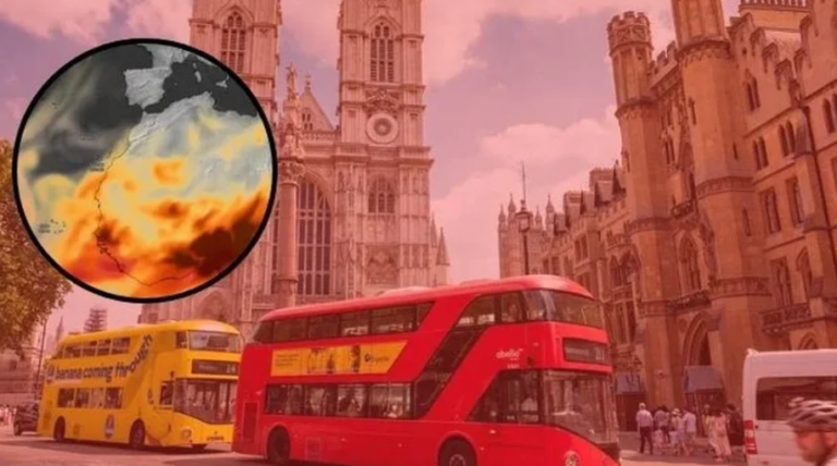 Shiu i ”përgjakur” në Britaninë e Madhe