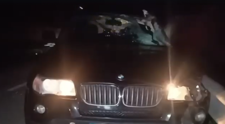 BMW-ja përplaset me kalin në Lushnje, plagoset një person