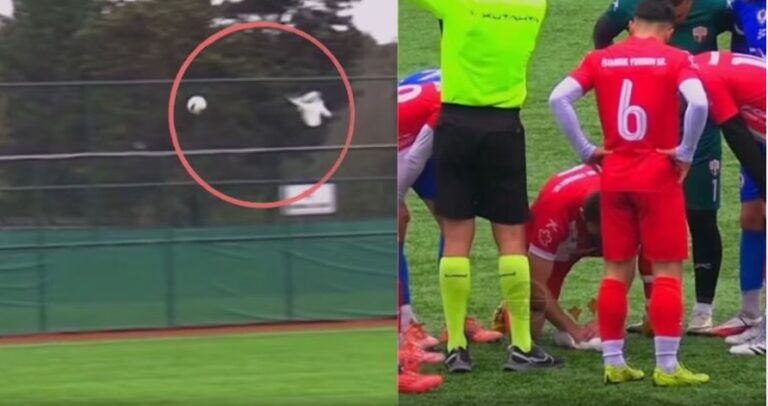 E rrallë në Turqi/ Lojtari ndërpret ndeshjen, i bën masazh kardiak pulëbardhës (VIDEO)