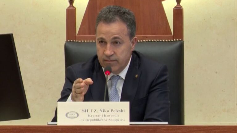 Shembja e rrugës Librazhd-Prrenjas, kryeparlamentari Peleshi: Aksi alternativ do të jetë gati për pak kohë