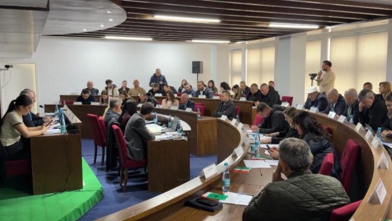 Kryetarja e PD akuzon kreun e Kadastrës: Pazaret për certifikatat e pronësisë bëhen në kafe
