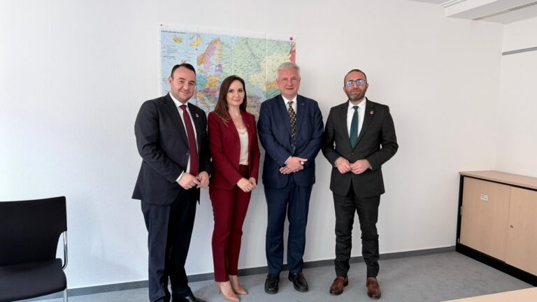 Delegacioni i PD në Bundestag, Bardhi: Na duhet një qeveri për integrimin europian