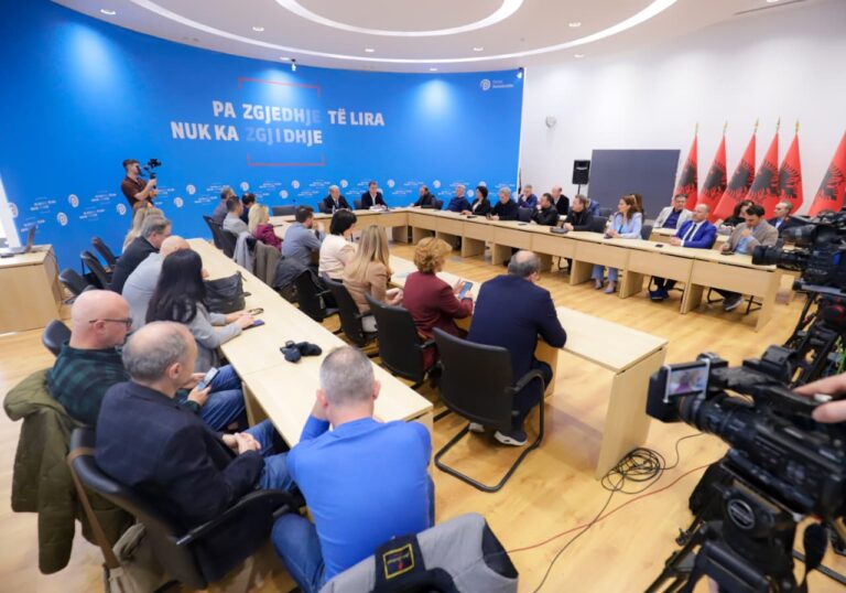 Kryesia e PD, emrat e grupit të punës për modernizimin e komunikimit dixhital