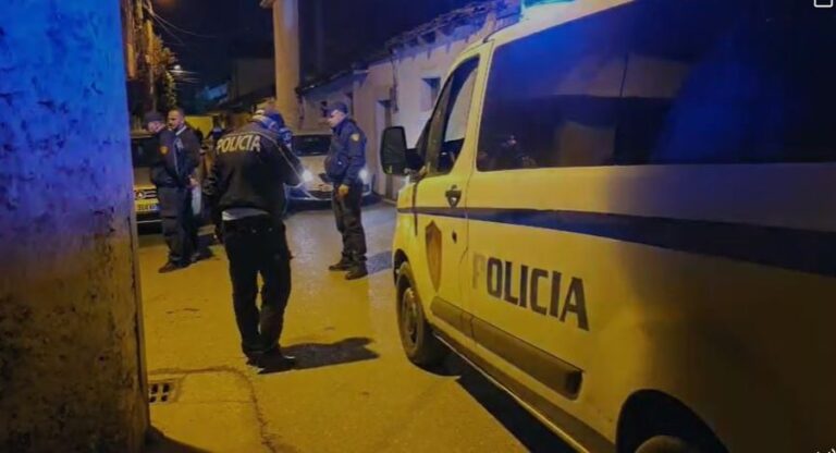 Plagosje me armë zjarri, Policia jep detajet