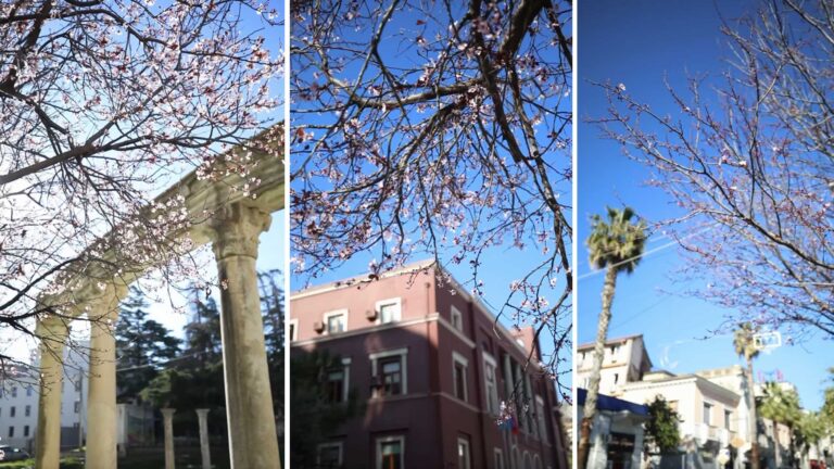 Rama sjell 1 Marsin e Durrësit, me lulet që zgjojnë detin dhe lajmërojnë ardhjen e pranverës