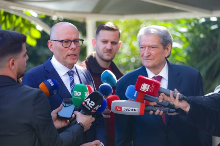 Raportuesi për Shqipërinë në Bundestag pritet nga Berisha në PD, Beyer: Diskutuam për integrimin në BE