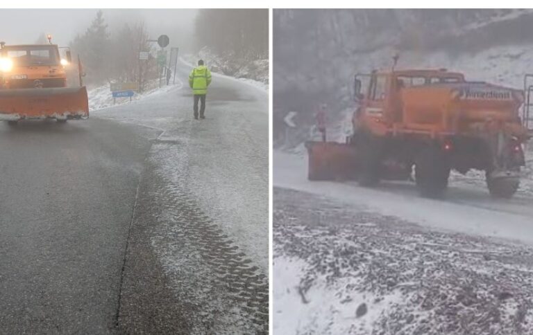 Reshje bore në pranverë, Dardha “zgjohet” nën petkun e bardhë