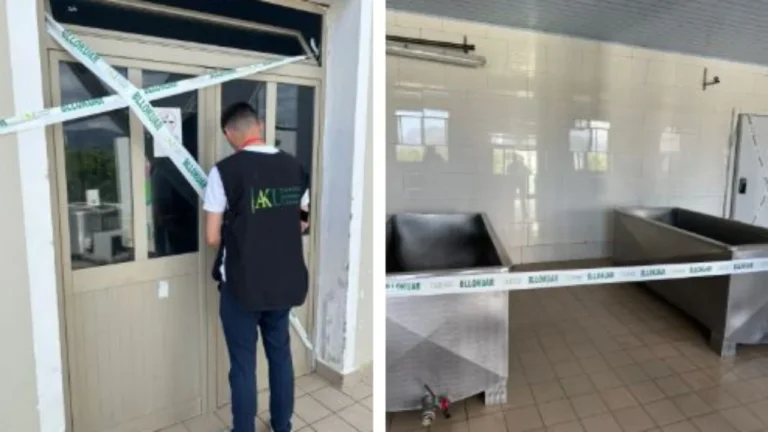 Shkelje higjieno-sanitare, 7 ton djathë bllokohen në Shkodër