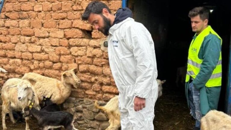 Konfirmohet një rast i murtajës te dhitë në Dibër