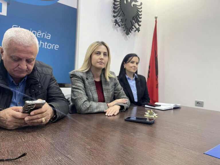 Protesta e 17 Prillit, Ina Zhupa takim me strukturat në Sarandë: Riorganizim dhe mobilizim